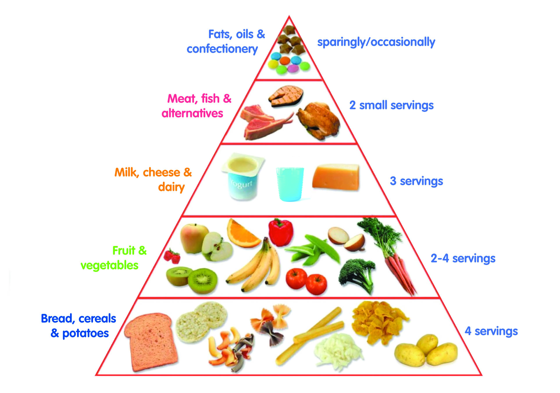 research paper on food pyramid